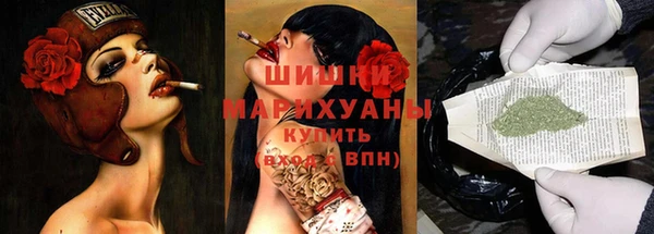 гашик Арсеньев