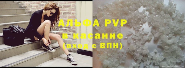 гашик Арсеньев