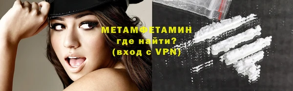 прущие грибы Дмитровск