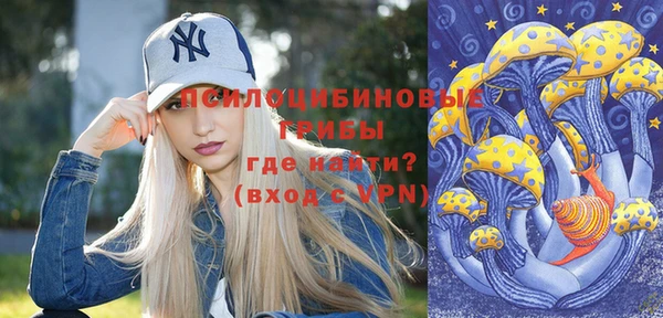 дурь Армянск