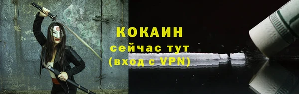 гашик Арсеньев