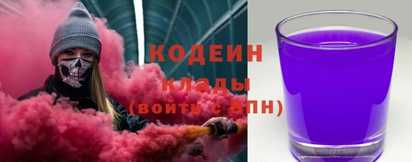 гашик Арсеньев