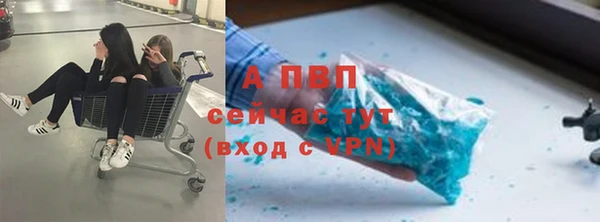 гашик Арсеньев