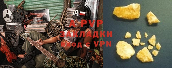 гашик Арсеньев