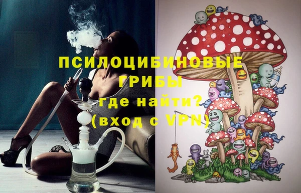 гашик Арсеньев
