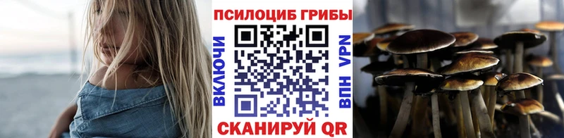 МЕГА онион  Волжский  Галлюциногенные грибы Psilocybe 